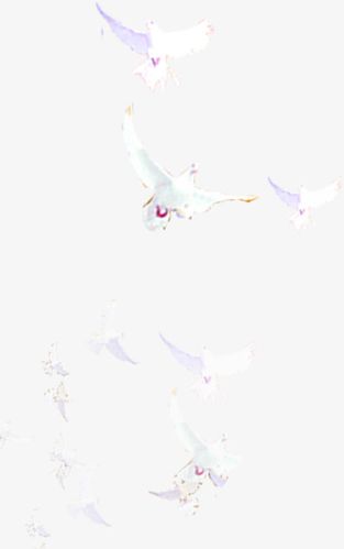 白色白鸽国庆海报