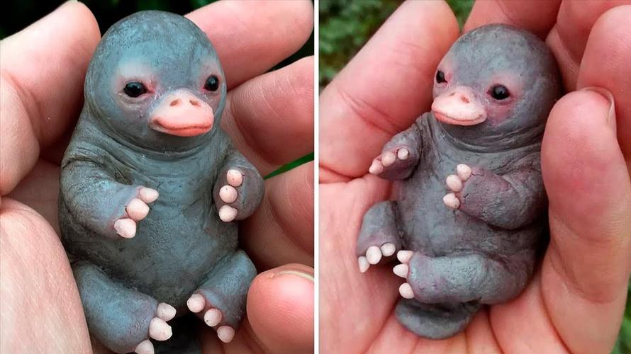 萌蠢的鸭嘴兽竟然是一块石头做的?4件最逼真的雕塑品