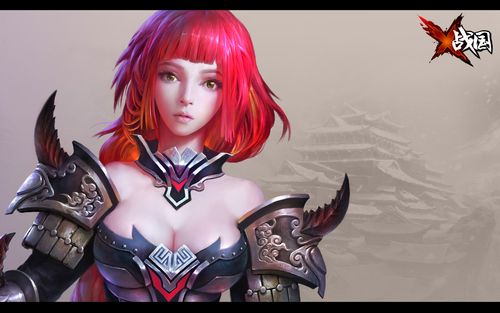 代号x战国精美高清壁纸