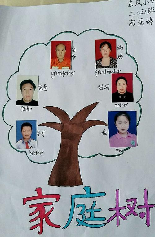 英语我的家庭树的手抄报 我的家庭手抄报
