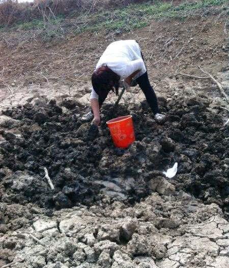 生活在农村的女人都这么厉害,直接用手刨土了!