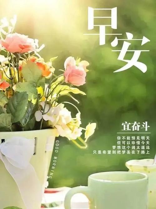 非常漂亮早上好图片动态带字最美问候早安的句子配图