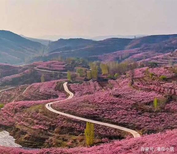 踏遍青山人未老,风景这边独好——最美我的家乡