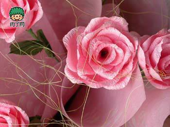 折纸-永不凋零的玫瑰花