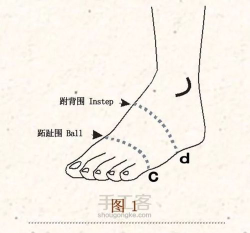 跖趾围 跗围     步
