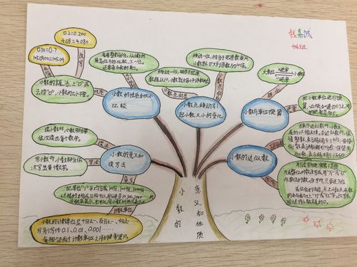 启迪思维巧构建,小导图大智慧——406班作品展(一)