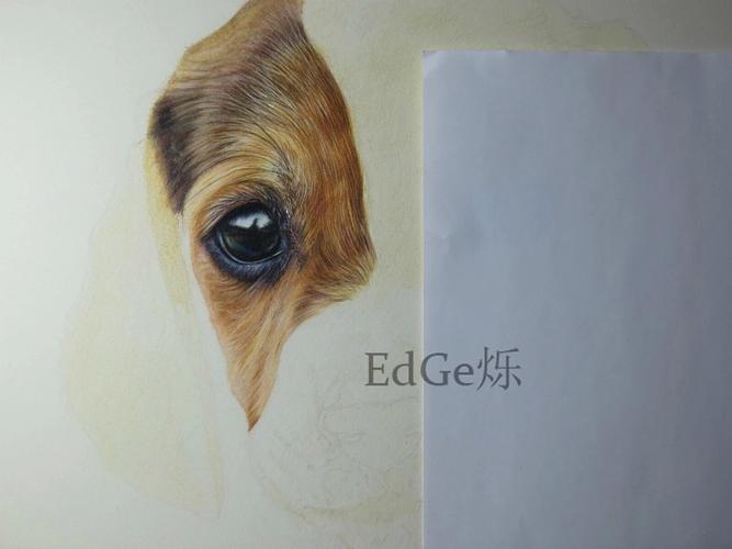 8k彩铅画狗狗