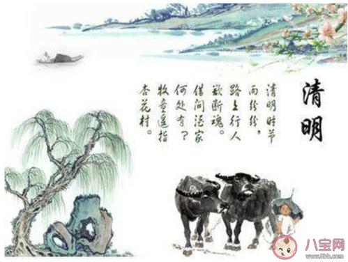 清明节想念天堂亲人的心情句子2020清明节怀念逝去亲人的文案说说2020