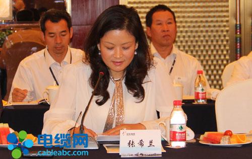 皖电送千里 图纸大会检