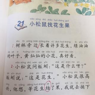 21,小松鼠找花生果