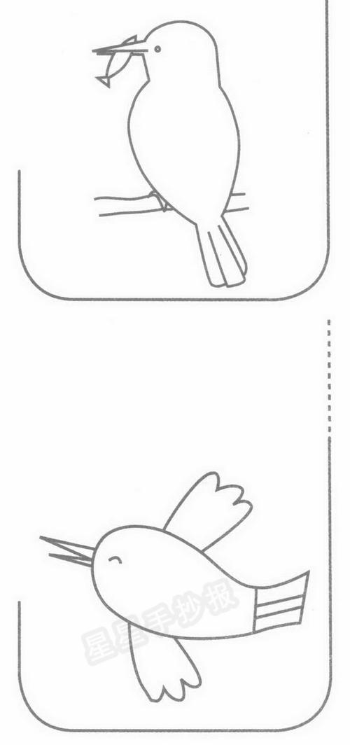 翠鸟简笔画怎么画