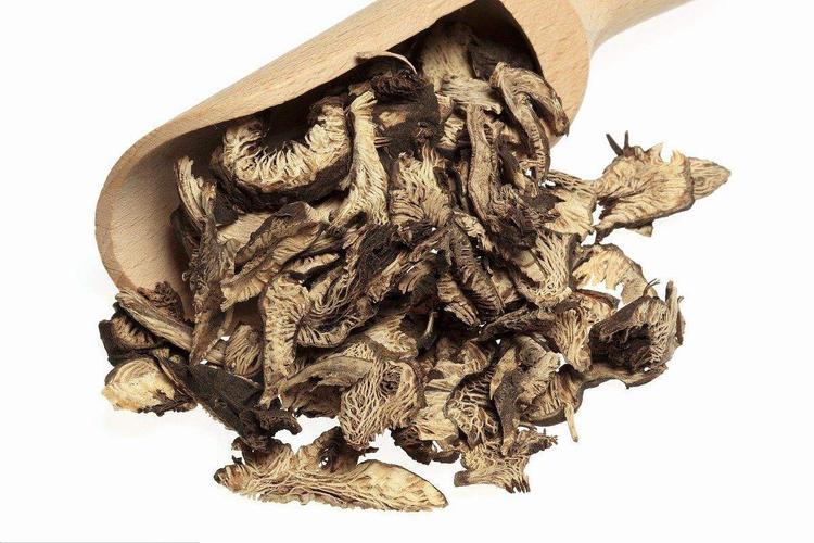 黑升麻提取物10:1 慧科厂家提供 现货直销 量大从优 包邮