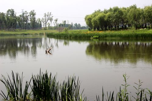 沈阳蒲河自然风光(2)