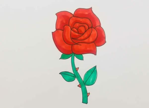 玫瑰花简笔画怎么画玫瑰花简笔画步骤教程