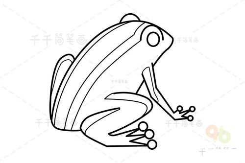 动物简笔画 伊比利亚山蛙简笔画 伊比利亚山蛙,是蛙科,卵齿蟾属的两栖