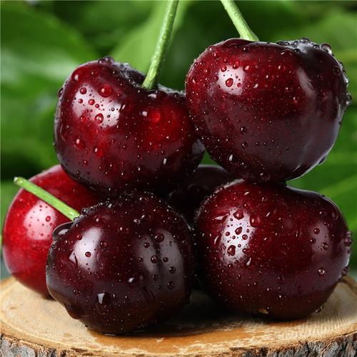 山东大樱桃车厘子10新鲜水果烟台美早孕妇樱桃5斤包邮