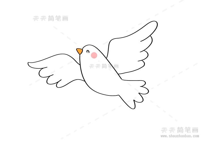 简笔画和平鸽简笔画简单又漂亮儿童画和平鸽简笔画教程