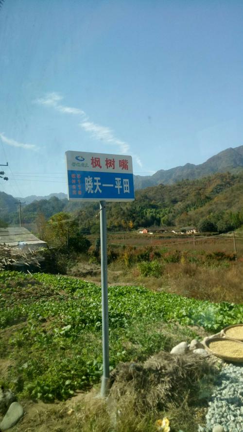 舒城县晓天镇兰花古镇行