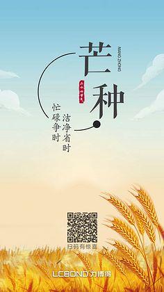 芒种(二十四节气)