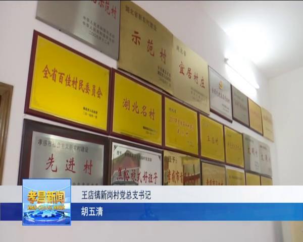 胡忠文:做好"领头雁" 激发乡村振兴澎湃动能