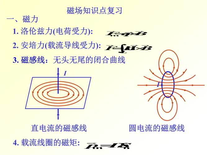 磁场知识点复习和电磁感应定律ppt25页