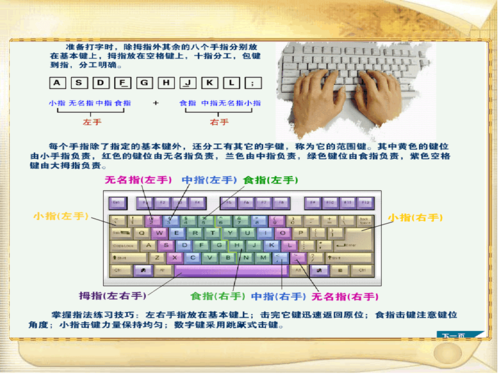 基本键盘指法课件