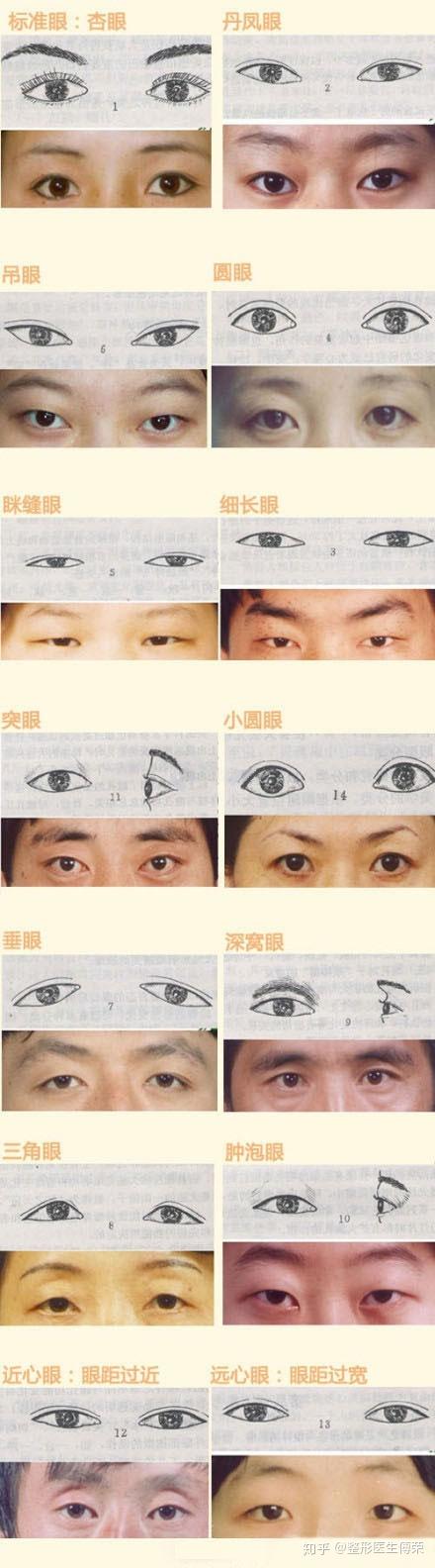 各种眼型