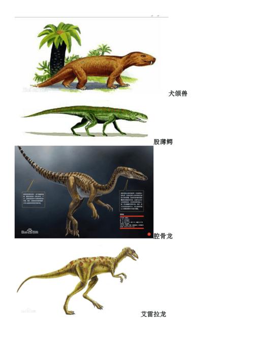 最全恐龙名字以及图片