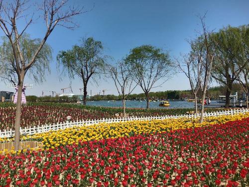 艺术中心,廊坊自然公园欣赏美景~圣轶制作