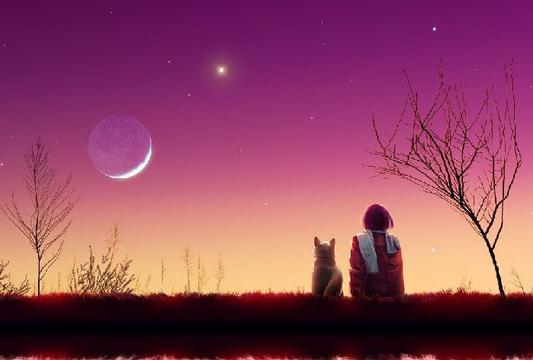 qq思念意境美图