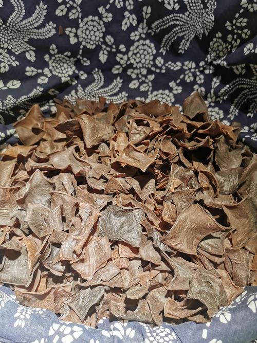 苦槠干 4o元一斤