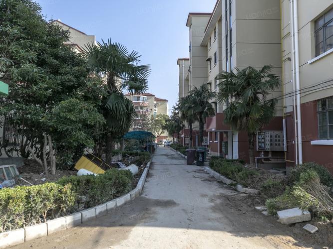 明城新村桂花园相册