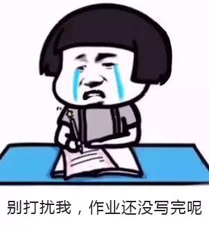 别打扰我,作业还没写完呢_写作业表情包