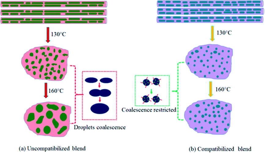 block copolymer compatibilization driven frustrated
