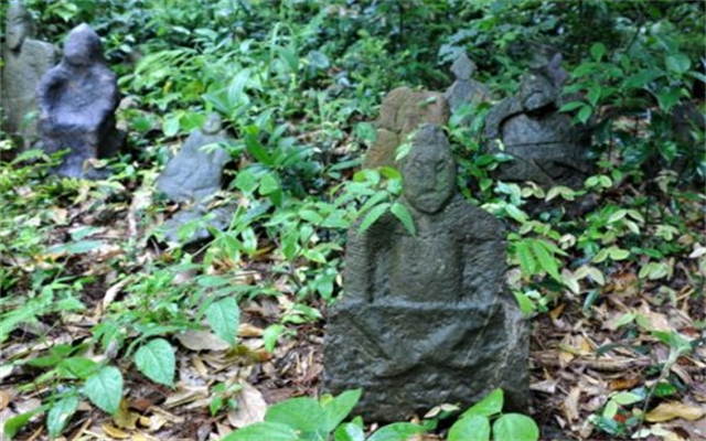 鬼崽岭有"阴兵"把守?700多年没人敢上山,专家闯入后发现奇迹