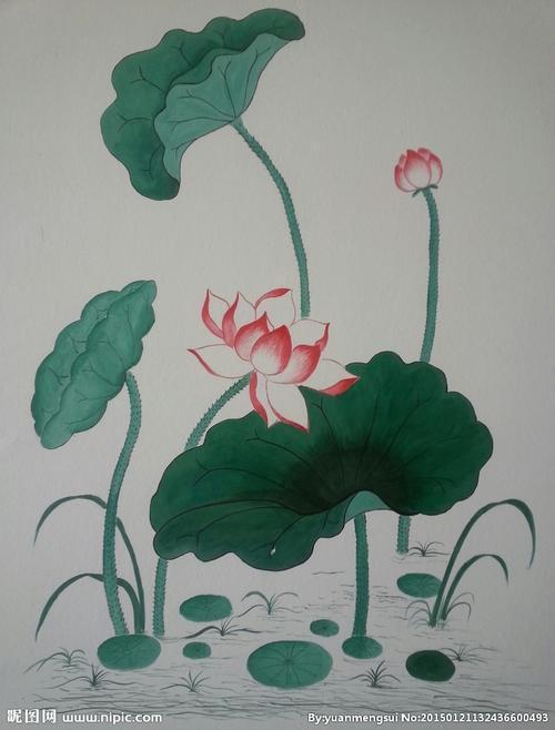 荷花设计图__绘画书法_文化艺术_设计图库_昵图网nipic.com