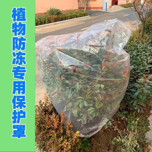 冬季植物防寒保暖套树木花架保温罩绿化花草暖房防冻膜透明塑料袋