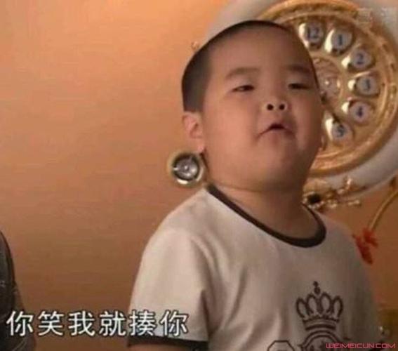 谢飞机长大了 竟然长成这样子令人瞠目结舌