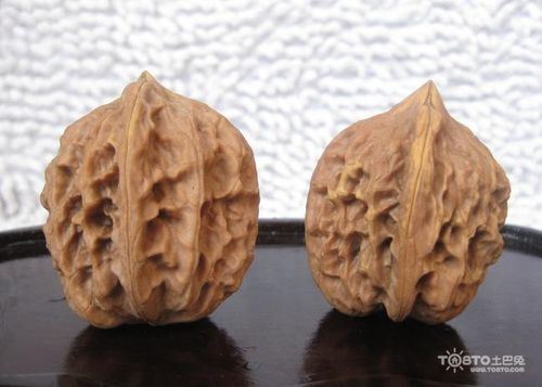 文玩核桃图片欣赏好品质都长这样