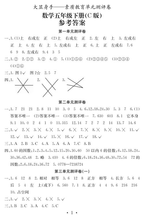 16春大显身手五年级数学下册c版答案.pdf