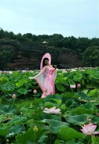 莲花仙子粉妆红,濯水出泥叶碧青. 人间正值荷月季,翩翩玉女羽纱轻.