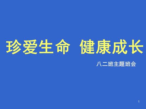 珍爱生命健康成长主题班会ppt精选文档