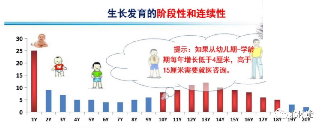 儿童期,少年期,青春期怎么划分?