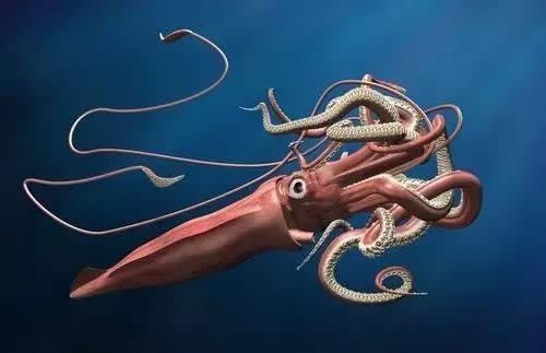 电影中的"北海巨妖"被发现?专家亮出证据,或许它是真实存在的