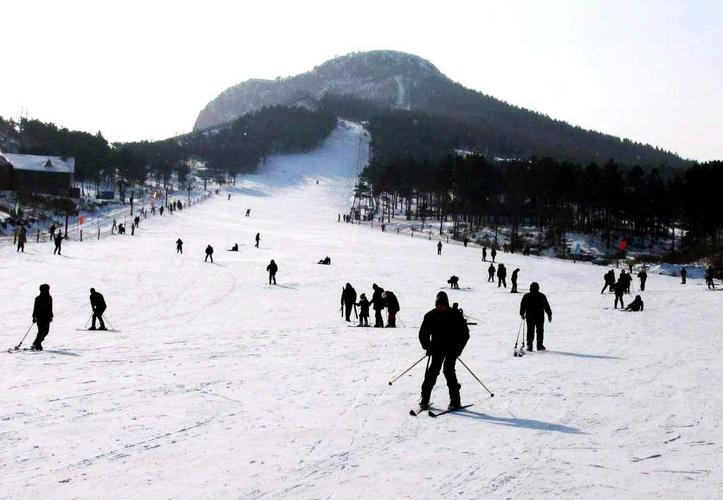 早7:30于(体育场东门/电视塔)统一集合出发,前往蓝田竹林畔滑雪场