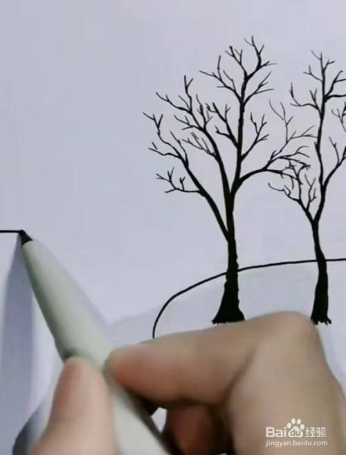 然后,用同样的方法,再画出一棵树