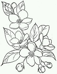 绣花花样-花瓣网|陪你做生活的设计师 | "愤怒的小鸟"——愤怒的品牌