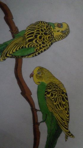 追答 这是我自己画的,我是用自动笔定稿在用圆珠笔描边的,颜色还在