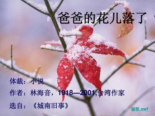《爸爸的花儿落了》ppt