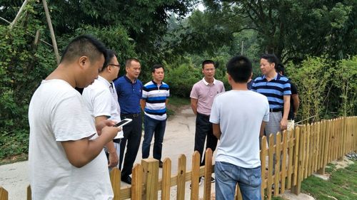 漳平市政府副市长张如春带队现场推进东门溪整治攻坚战